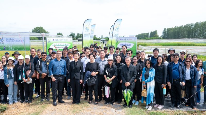 สวทช.-ม.เกษตรฯ จัดงาน “NSTDA-KU Rice Field Day 2025” ปีที่ 2โชว์ศักยภาพพันธุ์ข้าวนวัตกรรม ผลผลิตสูง 2 ตันต่อไร่พร้อมรับมือวิกฤติภูมิอากาศ ตอบโจทย์เกษตรยั่งยืน