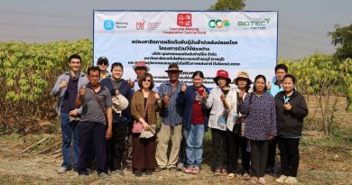 สวทช. ขยายผล “ท่อนพันธุ์สะอาด” สู่ไร่มันสำปะหลัง ในบ้านโป่งสร้างต้นแบบพื้นที่ หยุดวิกฤตใบด่างด้วยพันธุ์ดี